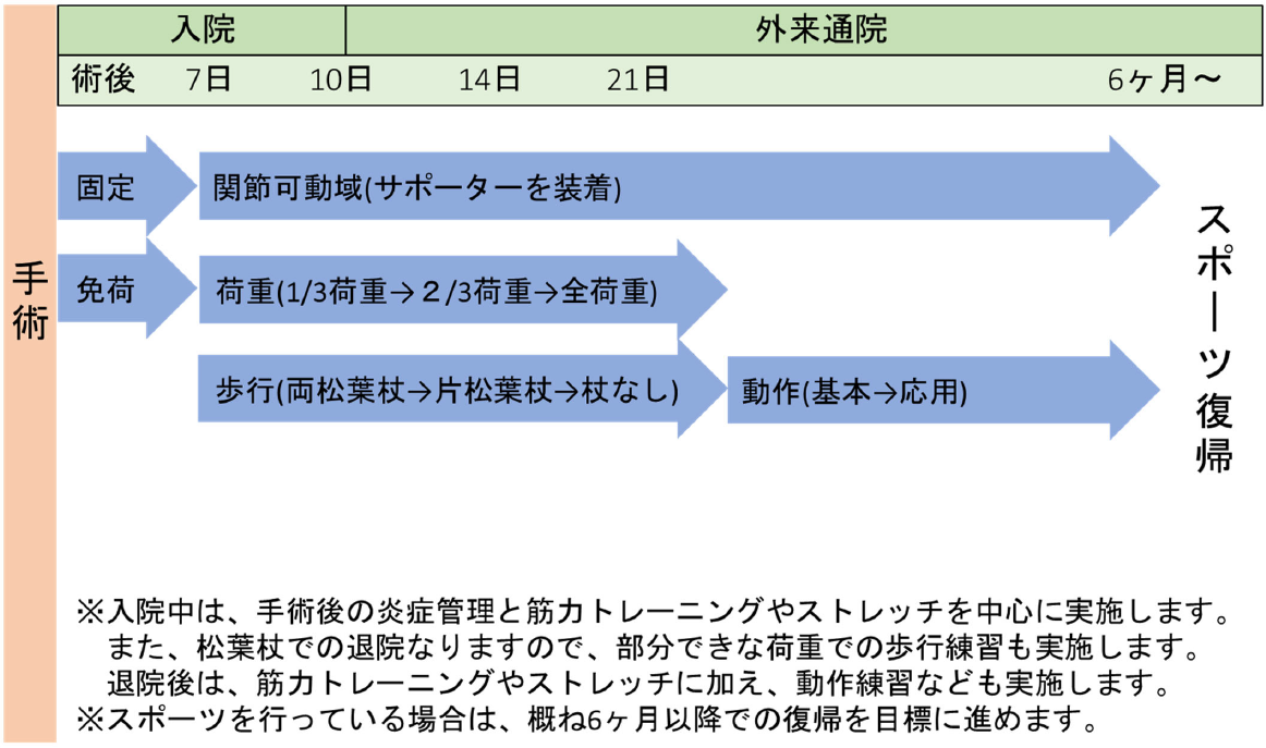 図3 手術後のリハビリテーションの流れ